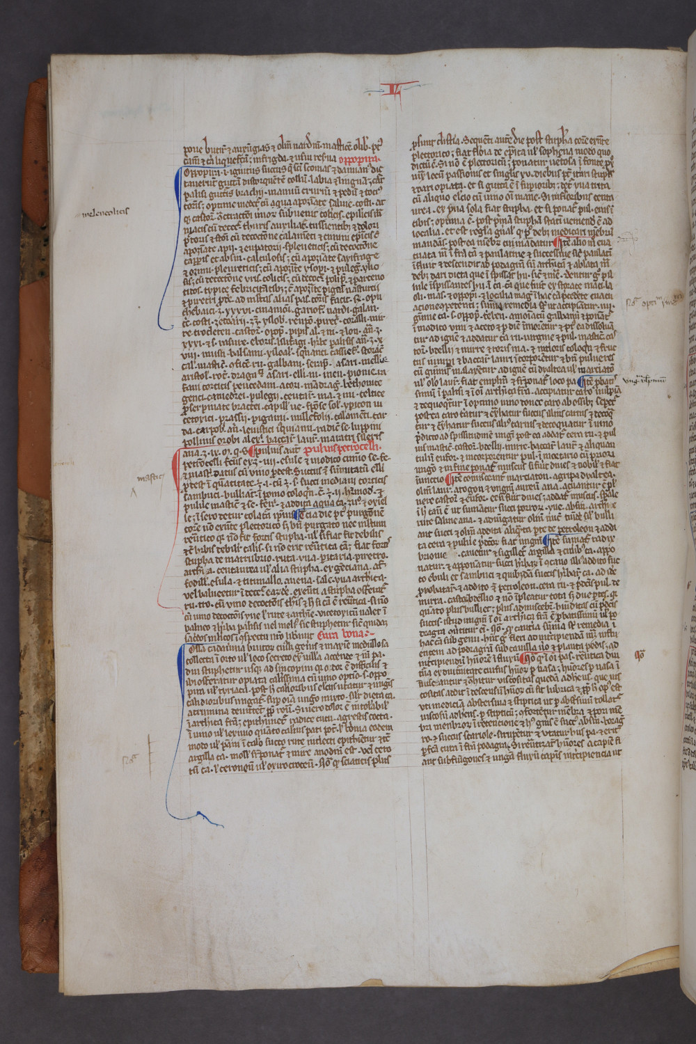 Folio 145 verso